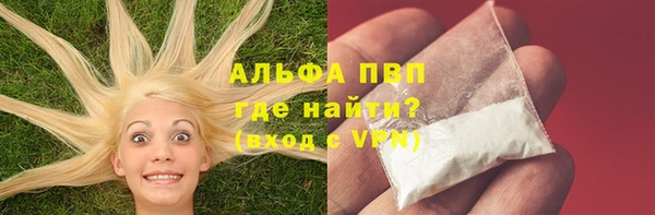 стафф Алексин