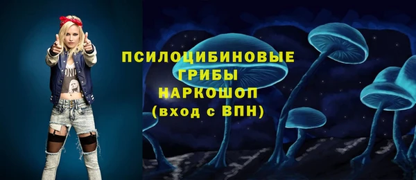 СК Алексеевка
