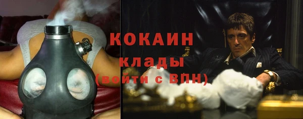 стафф Алексин