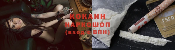 стафф Алексин