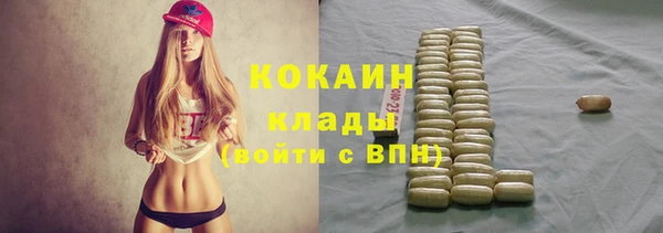 стафф Алексин