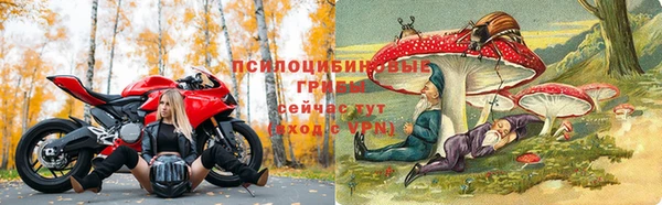 СК Алексеевка